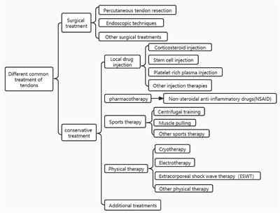 Biological response of extracorporeal shock wave therapy to tendinopathy in vivo (review)